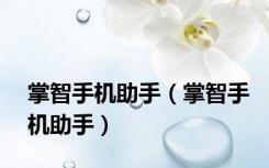 掌智手机助手（掌智手机助手）