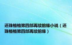 还珠格格第四部再续前缘小说（还珠格格第四部再续前缘）