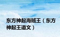 东方神起海贼王（东方神起王道文）