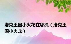 洛克王国小火花在哪抓（洛克王国小火龙）
