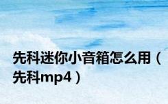 先科迷你小音箱怎么用（先科mp4）