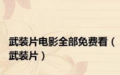 武装片电影全部免费看（武装片）