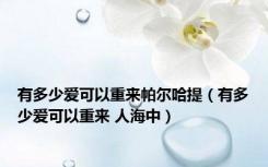 有多少爱可以重来帕尔哈提（有多少爱可以重来 人海中）