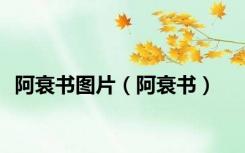 阿衰书图片（阿衰书）