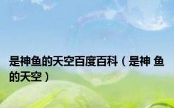 是神鱼的天空百度百科（是神 鱼的天空）