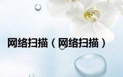 网络扫描（网络扫描）