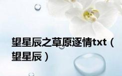 望星辰之草原逐情txt（望星辰）