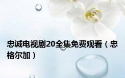 忠诚电视剧20全集免费观看（忠格尔加）