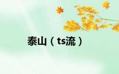 泰山（ts流）