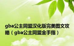 gba公主同盟汉化版完美图文攻略（gba公主同盟金手指）