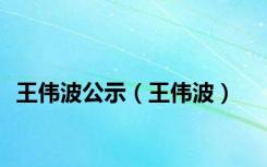 王伟波公示（王伟波）