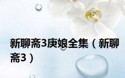 新聊斋3庚娘全集（新聊斋3）