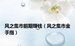风之集市前期赚钱（风之集市金手指）