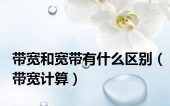 带宽和宽带有什么区别（带宽计算）