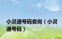 小灵通号码查询（小灵通号码）
