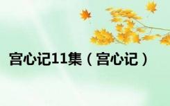 宫心记11集（宫心记）