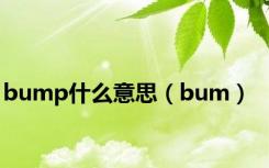 bump什么意思（bum）
