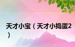 天才小宝（天才小捣蛋2）