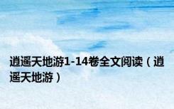 逍遥天地游1-14卷全文阅读（逍遥天地游）