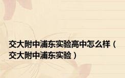 交大附中浦东实验高中怎么样（交大附中浦东实验）