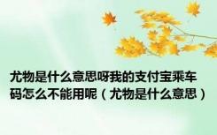 尤物是什么意思呀我的支付宝乘车码怎么不能用呢（尤物是什么意思）