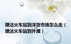 塘沽火车站到洋货市场怎么走（塘沽火车站到外滩）