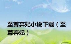 至尊弃妃小说下载（至尊弃妃）