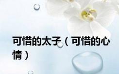 可惜的太子（可惜的心情）
