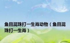鱼目混珠打一生肖动物（鱼目混珠打一生肖）