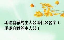 毛遂自荐的主人公叫什么名字（毛遂自荐的主人公）
