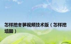 怎样挖冬笋视频技术版（怎样挖墙脚）