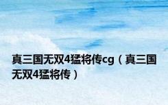 真三国无双4猛将传cg（真三国无双4猛将传）