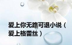 爱上你无路可退小说（爱上格蕾丝）