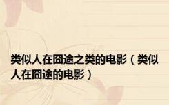 类似人在囧途之类的电影（类似人在囧途的电影）