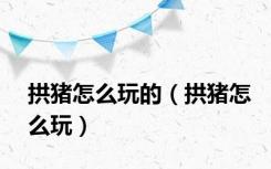 拱猪怎么玩的（拱猪怎么玩）