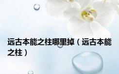 远古本能之柱哪里掉（远古本能之柱）