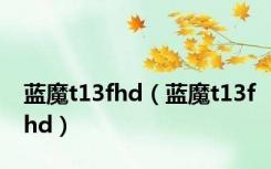 蓝魔t13fhd（蓝魔t13fhd）