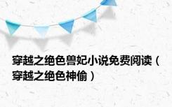 穿越之绝色兽妃小说免费阅读（穿越之绝色神偷）