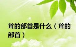 耸的部首是什么（耸的部首）