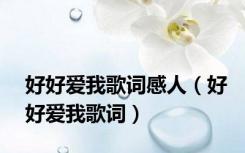 好好爱我歌词感人（好好爱我歌词）