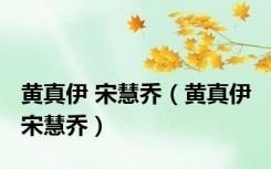 黄真伊 宋慧乔（黄真伊 宋慧乔）