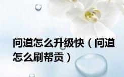 问道怎么升级快（问道怎么刷帮贡）