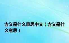 含义是什么意思中文（含义是什么意思）