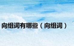 向组词有哪些（向组词）