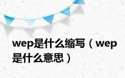 wep是什么缩写（wep是什么意思）