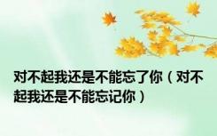 对不起我还是不能忘了你（对不起我还是不能忘记你）
