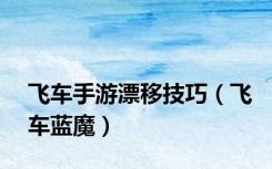 飞车手游漂移技巧（飞车蓝魔）