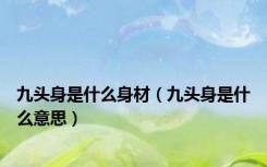 九头身是什么身材（九头身是什么意思）