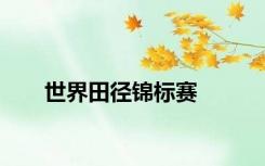 世界田径锦标赛