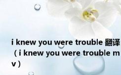 i knew you were trouble 翻译（i knew you were trouble mv）